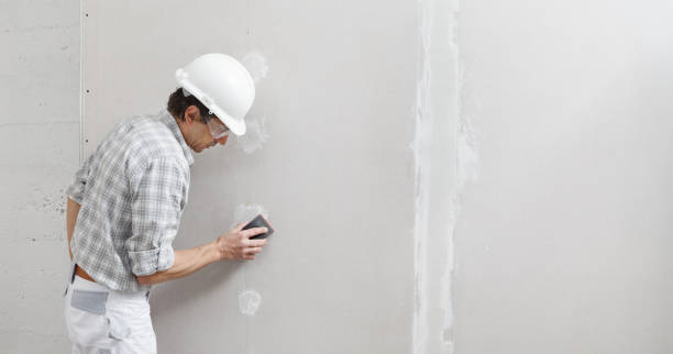 Best Comprehensive Air Testing for Mold Contaminants  in Tornillo, TX