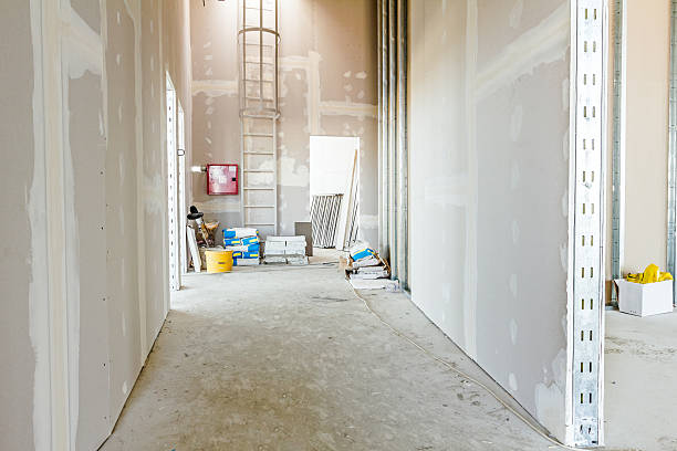 Tornillo, TX Mold Removal Company